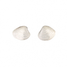 Earring 462