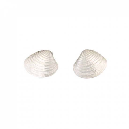 Earring 462