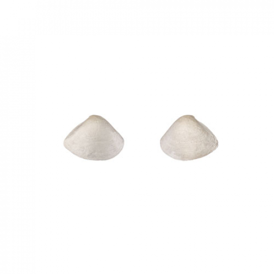 Earring 464